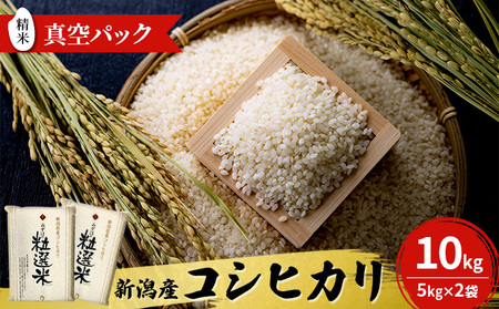 新潟産コシヒカリ精米10kg真空パック（5kg×2袋） 米 コメ こめ お米 おこめ 白米 精米 コシヒカリ こしひかり 10kg ご飯 ごはん 新潟 