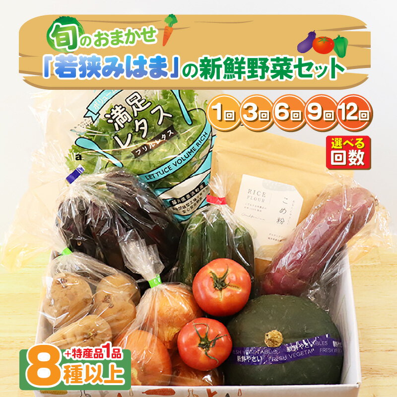 【ふるさと納税】旬のおまかせ 「若狭みはま」の新鮮野菜セット 8種以上＋特産品1品 【選べるお届け回数：1回/3回/6回/9回/12回】【ふるさと納税 春野菜 夏野菜 秋野菜 冬野菜 定期便 定期 やさい 野菜 セット 詰合せ 大容量 産地直送 旬 新鮮 採れたて おススメ 人気 】