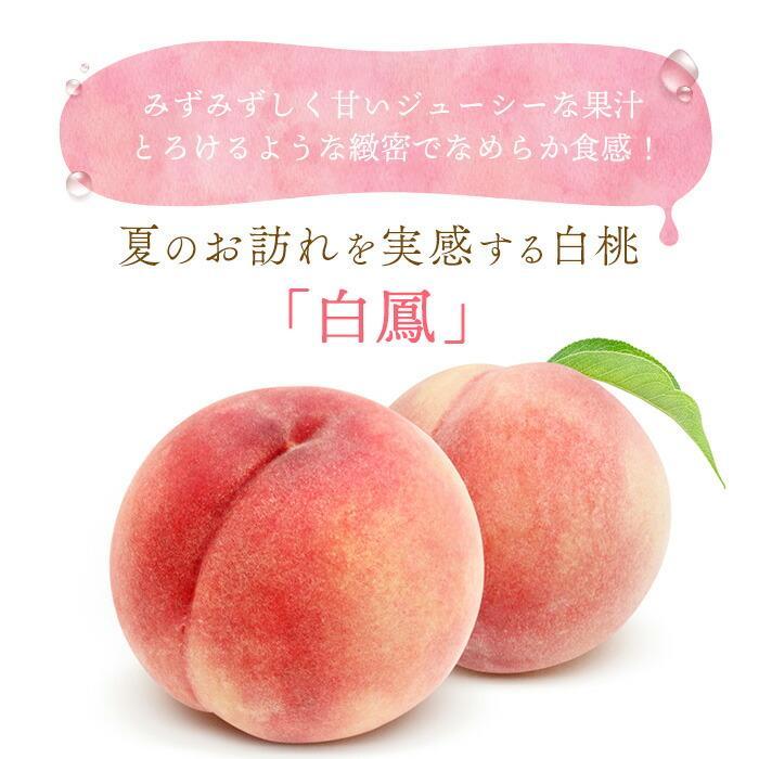 和歌山県産 白鳳 桃 11～15玉入り秀品［2026年6月下旬以降発送］［MG90］