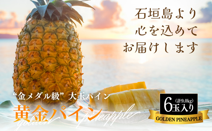 【先行予約】《2025年夏季 順次発送》黄金パイン大玉6個入 計9.0kg　SI-53