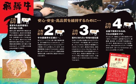【数量限定】【飛騨牛】海津市産シャトーブリアンステーキ150g×3 【配達不可：離島】 お肉 牛肉 ステーキ用 国産 岐阜県産 ブランド牛 夕飯 記念日 ディナー 希少部位 贅沢 赤身 なめらか とろ
