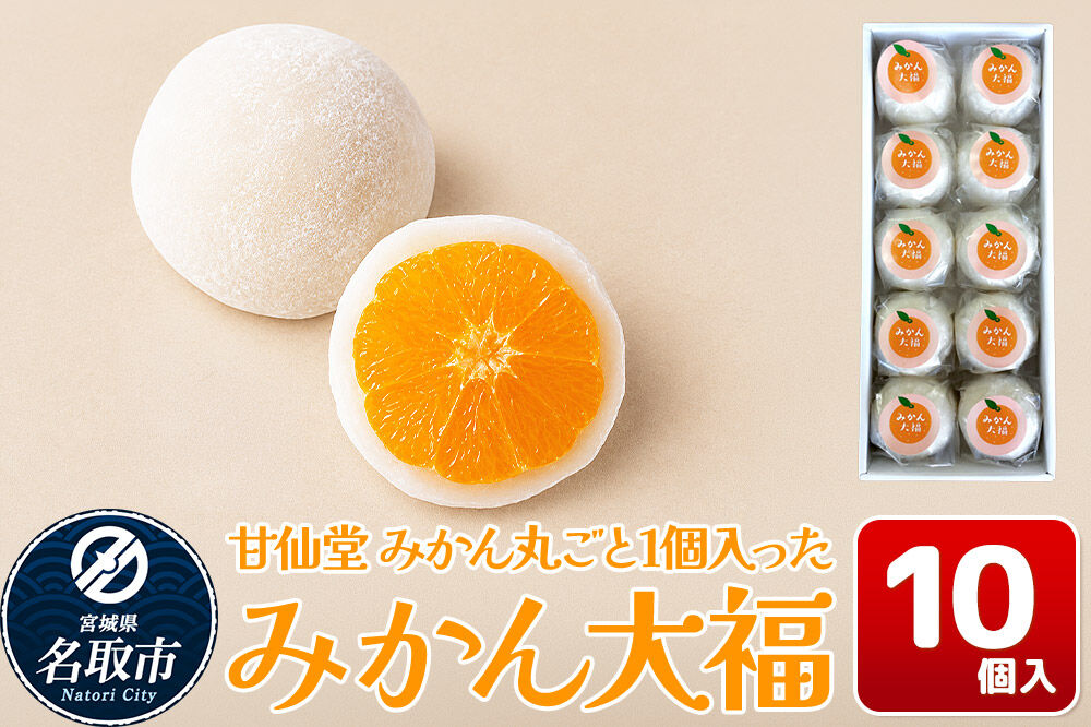 和菓子 甘仙堂 みかん丸ごと1個入った みかん大福 10個入り 大福 和菓子 スイーツ [みちのく和菓子処 甘仙堂 老舗 和菓子 お菓子 和スイーツ お茶菓子 宮城]