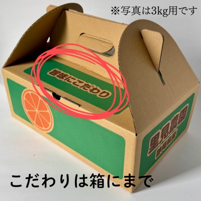 【旨味にこだわり】里見農園のみかん Sサイズ 3kg【1697927】
