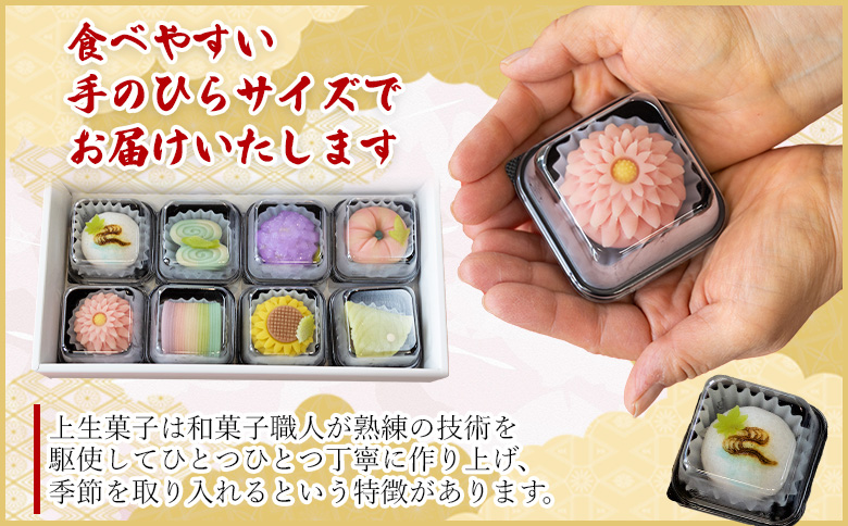 和菓子 上生菓子 8個