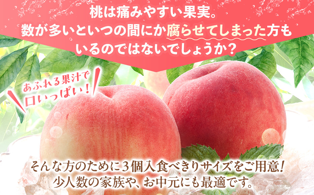 桃 極上秀品 食べきりやすい３個入 ［先行予約］［2026年6月下旬頃より順次発送］こだわり農家厳選！［KG1］
