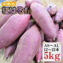 【ふるさと納税】蔵出し限定さつまいも「紅はるか」5kg AS・AM・AL