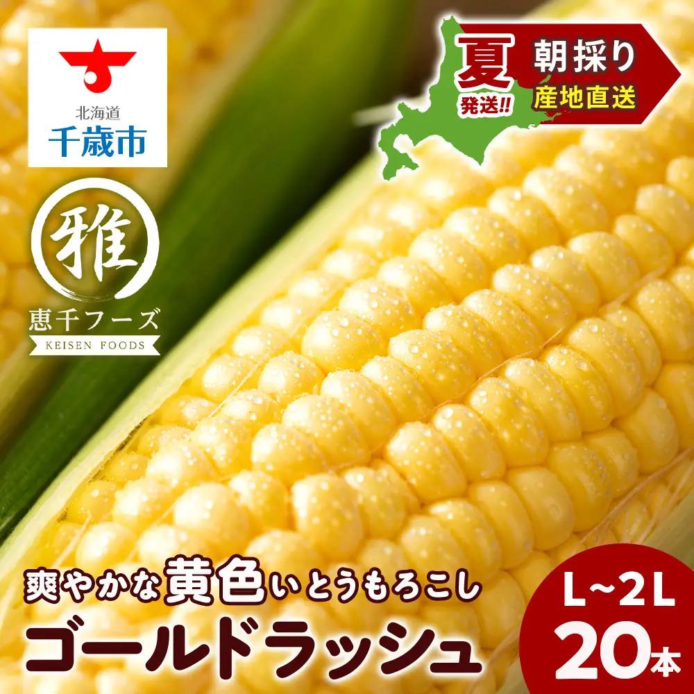 2026年夏発送 とうもろこし ゴールドラッシュ L～2L 20本