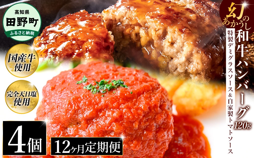 
                  幻のあかうし和牛ハンバーグ 4個入り 12ヶ月定期便 1個120g 特製デミソース トマトソース付き 田野屋青蜂 白鯆 完全天日塩練り込み 肉 お肉 国産牛 おかず おいしい お取り寄せ 冷凍 配送 高知県 田野町
                