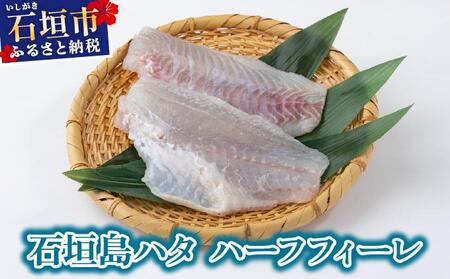 ＜期間限定 春フェア＞ 石垣島 ハタ ハーフフィーレ | 勝水産 ミーバイ ヤイトハタ 沖縄県石垣市 石垣 沖縄 石垣市 石垣島 KS-15