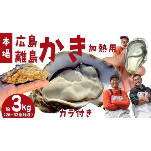 殻付き生牡蠣 冷蔵 約3kg ( 加熱用 ) 26〜33個程度 【1月中旬〜3月発送】 瀬戸内の離島から届く牡蠣  