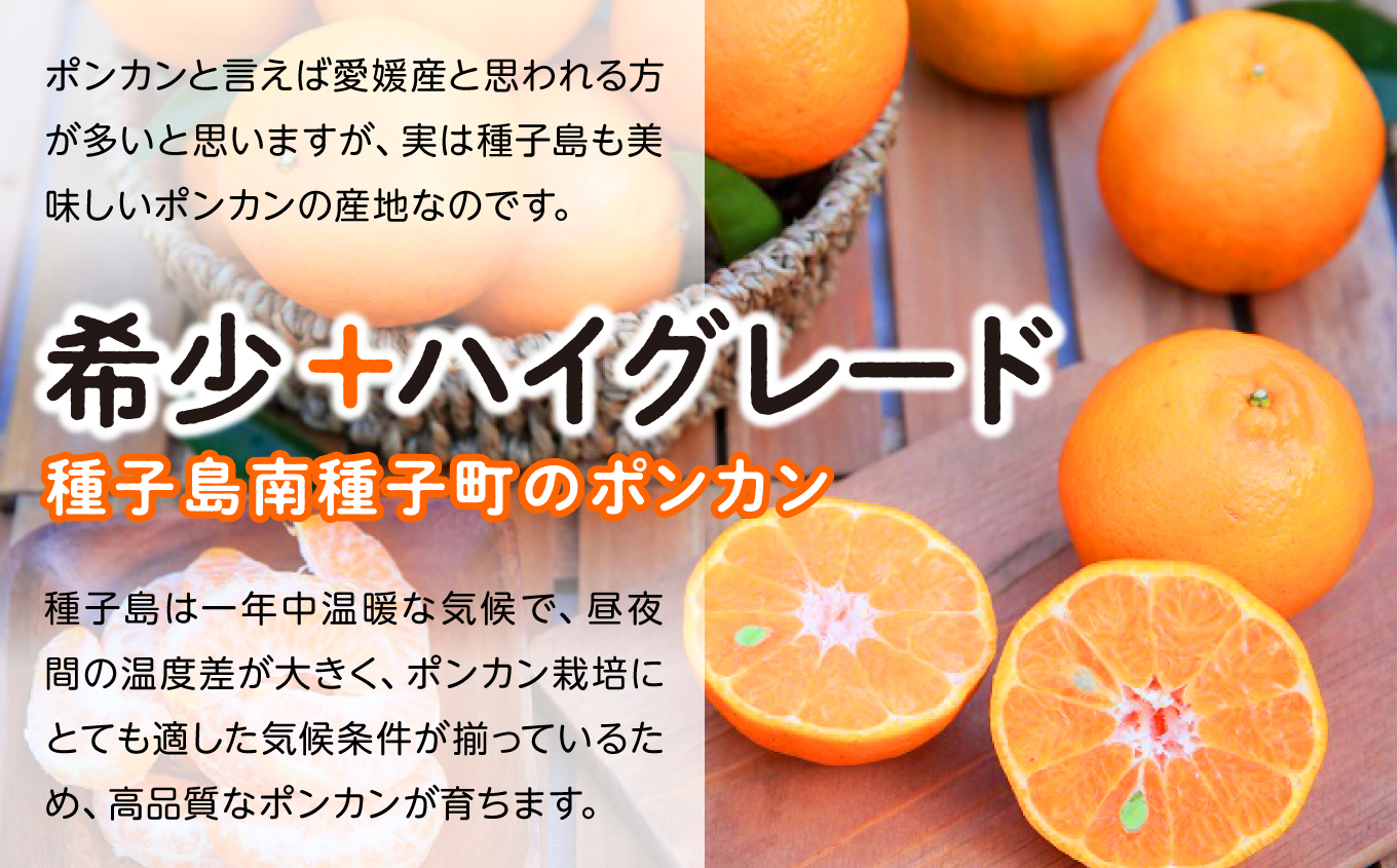 《 先行予約 》種子島産 ポンカン (ご家庭用) 約5kg (24玉〜36玉)《2026年12月中旬頃〜1月中旬頃順次発送》【南種子町果樹部会】