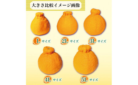 果物 しらぬい 3kg 3Lサイズ 8玉入り 先行予約 令和 7年産 1箱 不知火 柑橘 阿波市産