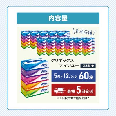 ふるさと納税 岩沼市 クリネックスティシュー( 5箱 × 12パック入り )ティッシュペーパー[No.5704-0182] |  | 02