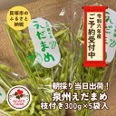 【ふるさと納税】【令和6年産　先行予約】泉州えだまめ　特選枝付き　朝採り当日出荷！　300g×5袋　縣農園直送　枝豆 | 野菜 やさい 食品 人気 おすすめ 送料無料