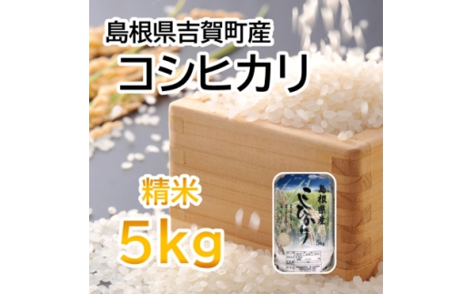 ＜令和7年10月中旬より順次発送＞令和7年産コシヒカリ精米5kg(吉賀町産)(吉賀町)【1677070】