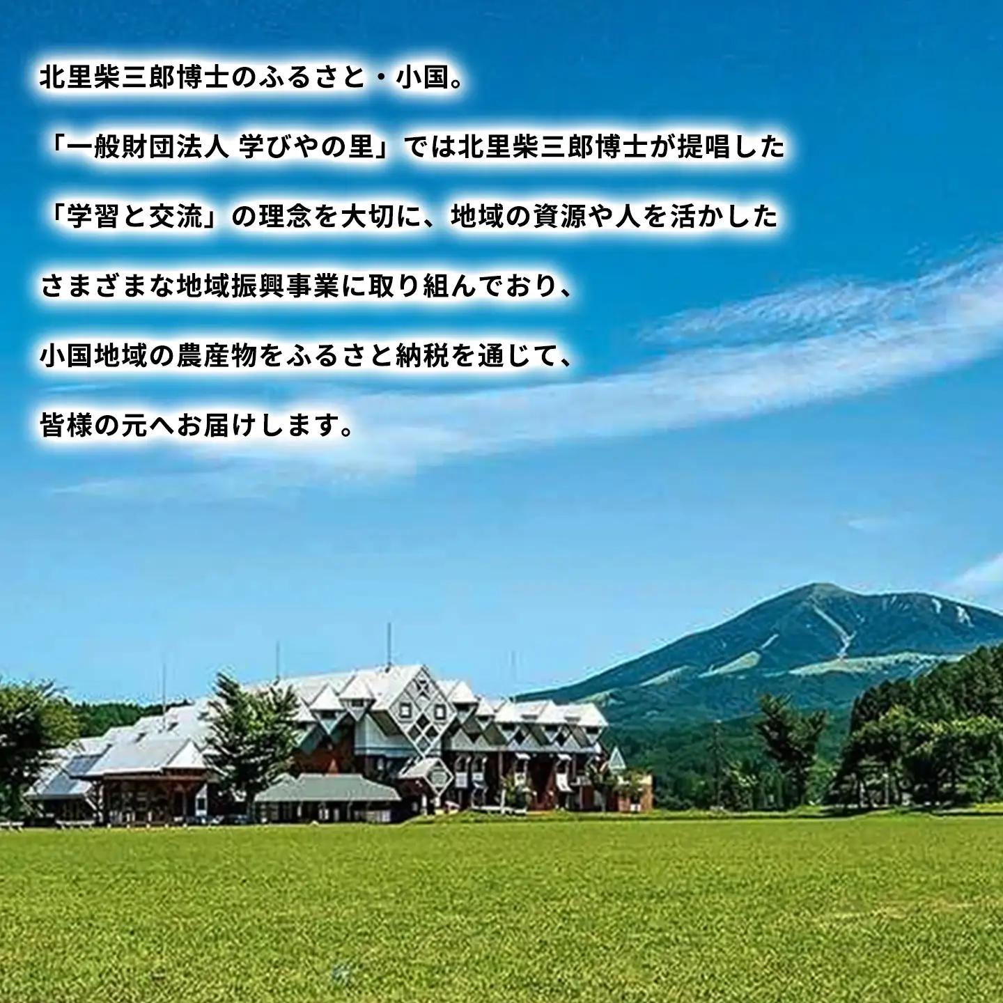 【学びやの里】生栗 阿蘇 小国産 大粒 約2kg 旬の素材 国産 熊本県産 果物 和栗 品種ミックス お取り寄せ お菓子材料 栗ご飯 チルド 冷蔵配送