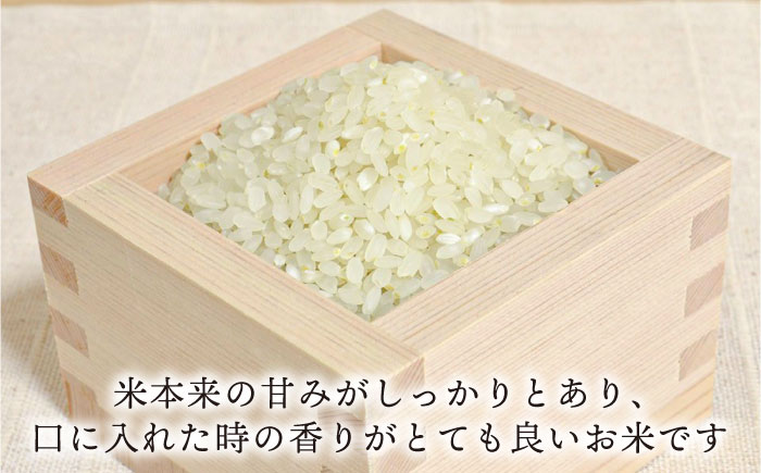 【令和8年産新米】【全6回定期便】糸島産 ヒノヒカリ 10kg×6回 糸島市 / 糸島王丸農園 ( 谷口汰一 )【いとしまごころ】 [AAZ016]