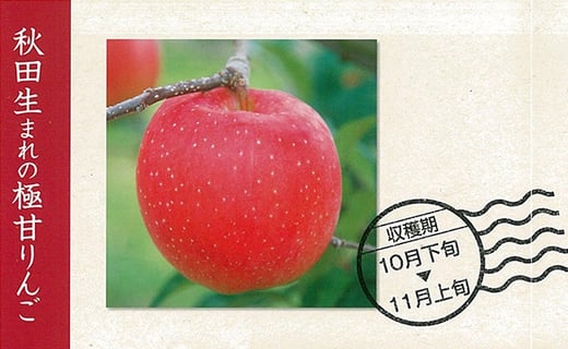 【数量限定・期間限定】90P3402　秋田限定りんご「秋田紅あかり」5kg