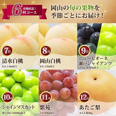 ふるさと納税 浅口市 【発送月固定定期便】岡山県産 フルーツ定期便全6回 |  | 01