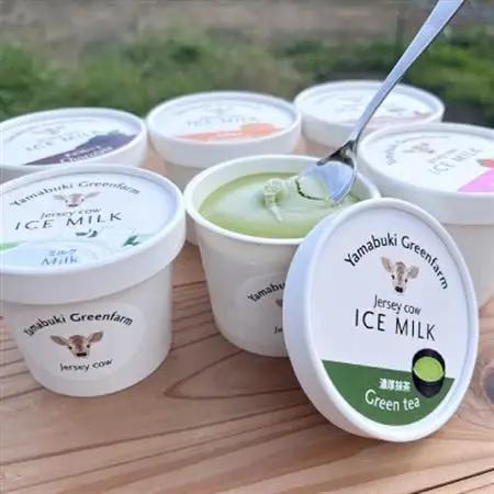 ジャージー牛の生乳を使用したアイス6個セット(ミルク・チョコ・コーヒー・いちご・抹茶・かぼちゃ)【配送不可地域：離島】【1576638】