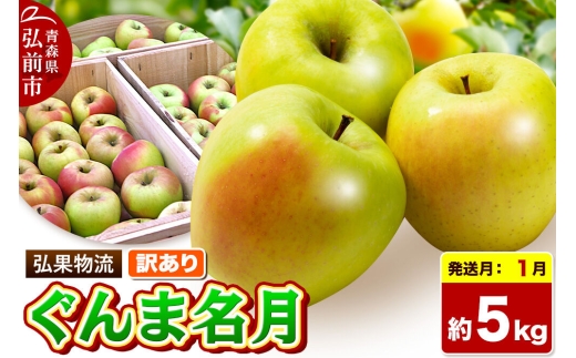 【27年1月発送】りんご ぐんま名月【訳あり】約5kg 先行受付 家庭用 青森県 弘前市 果物 フルーツ 林檎 リンゴ くだもの 不揃い 規格外 [先行予約 産地直送 アップル おいしい 果実 美味 甘い 黄色]
