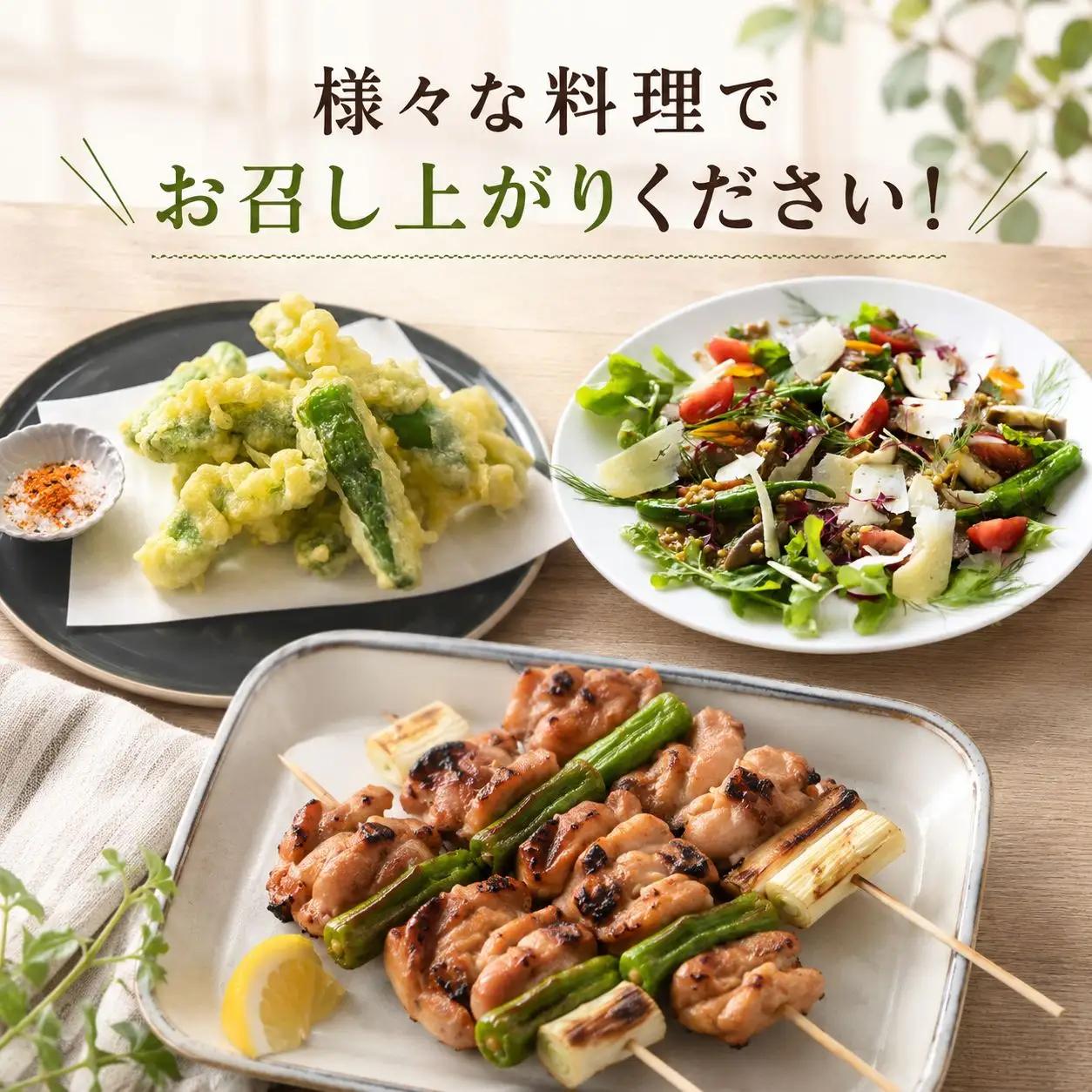 【先行予約】 ししとう 1kg 野菜 獅子唐 