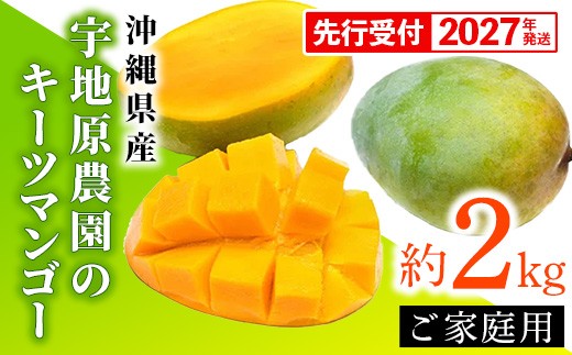 
                  【先行受付】【2027年発送】宇地原農園の沖縄県産 家庭用キーツマンゴー約2kg - 先行予約 沖縄県産 産地直送 南国フルーツ 旬の味覚 季節の果物 ご自宅用 希少種 沖縄県 八重瀬町
                