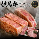 【ふるさと納税】A5ランク 肥育 但馬牛 サーロインステーキ 300g ヒレステーキ 300g 計600g 4枚 送料無料 牛肉 食べ比べ 黒毛和牛 フィレ ヘレ 経産牛 焼肉 霜降り 肉 ステーキ肉 国産牛 BBQ ヒレ ステーキ 内祝い 国産牛 お中元 兵庫県 冷凍 02-10