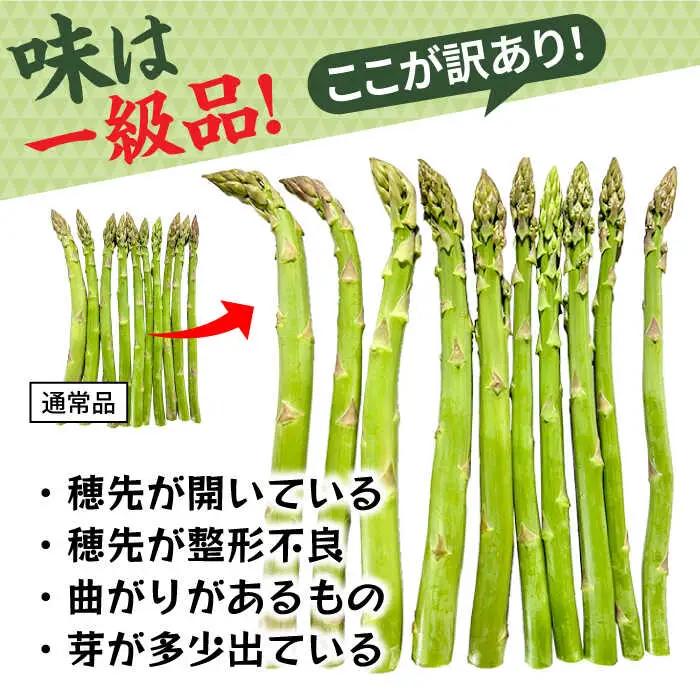 【先行予約・訳あり】モーモーアスパラ 夏芽 M / L / 2L セット 1.2kg（6月上旬から順次発送） アスパラガス[ARAI034]
