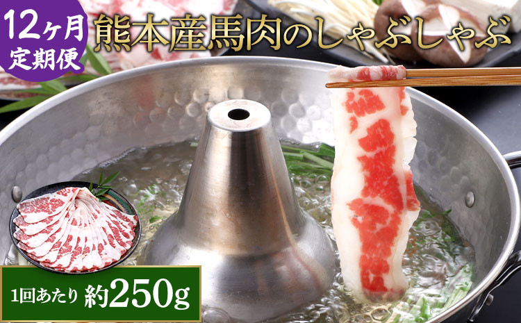 
【12か月定期便】熊本産 馬肉 しゃぶしゃぶ 約250g
