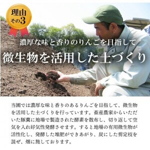 【南信州あじさい農園】葉とらずりんご(グラニースミス)約5kg【1593237】