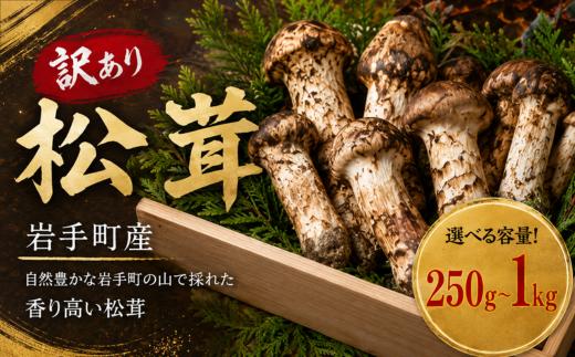 
                  松茸 国産松茸 天然松茸 訳あり 訳あり松茸 訳あり天然松茸 250g 500g 1kg 選べる容量 国産天然松茸 岩手県産松茸 岩手町産松茸 まつたけ マツタケ 天然まつたけ 国産まつたけ 先行予約 2026年発送 秋の味覚 きのこ キノコ 家庭用 自宅用 規格外 不揃い 松茸ご飯 松茸ごはん 焼き松茸 土瓶蒸し 天ぷら お吸い物 茶碗蒸し 炊き込みご飯 産地直送 冷蔵 冷蔵配送 天然物 冷蔵便
                