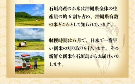 【石垣島産】日本最南端の日本一早い新米（清兵衛）5kg×1袋  TN-02