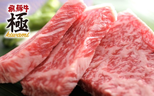 飛騨牛 サーロインステーキ ミニサイズ ２枚 牛肉 和牛 岐阜県