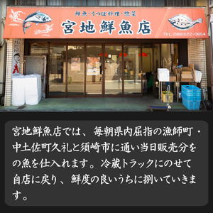 【ふるさと納税】【冷蔵】 かつおのたたき 麦藁焼 カツオ （約600～700g） タタキ 特選 鰹のたたき 1～3節 薬味・たれ付き 日本郵便で発送 事前連絡しています 高知県 佐川町 宮地鮮魚店 冷