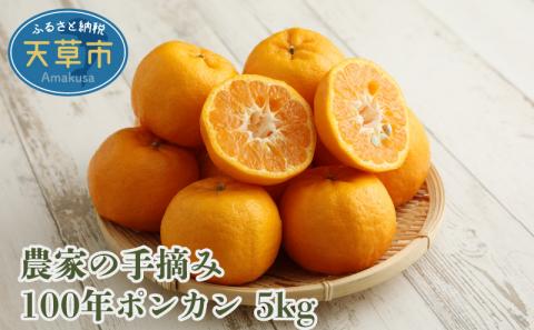 S040-007_農家の手摘み100年ポンカン 約5kg〈先行受付〉