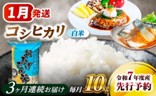 米 【3回定期便】【1月発送開始】 コシヒカリ 白米 10kg×3回 米 お米 10kg 10キロ 定期便 白米 精米 新米 コメ ご飯 ごはん 愛知県産 国産 県産米 国産米 コシヒカリ こしひかり 発送 時期 選べる 産地直送 愛西市 / 脇野コンバイン [AECP027-1]