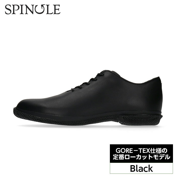 【ふるさと納税】No.999 GORE－TEX仕様の定番ローカットモデル　SP－6601　Black ／ 防水 防風 弾性 耐久性 屈曲性 靴 送料無料 広島県