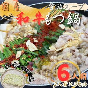 【化粧箱入り】素材にこだわりました！厳選博多牛もつ鍋セット6人前(国産牛もつ使用)