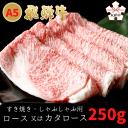 【ふるさと納税】A5飛騨牛　すき焼き・しゃぶしゃぶ用　ロース又はカタロース　250g