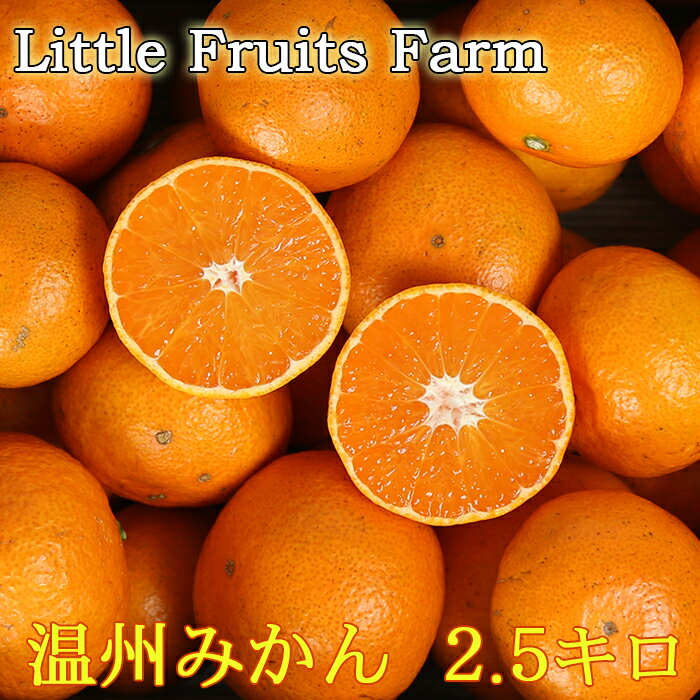 【ふるさと納税】【訳あり品】リトルフルーツファームの温州みかん 約2.5kg 訳あり みかん 柑橘類 先行予約 2.5kg 温州みかん フルーツ 果物 ＜116-021＞