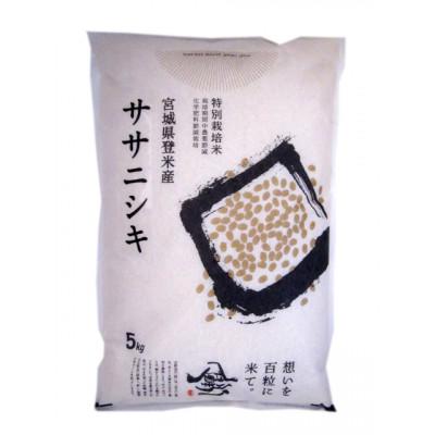ふるさと納税 登米市 【特別栽培米】宮城県登米市産ササニシキ精米5kg