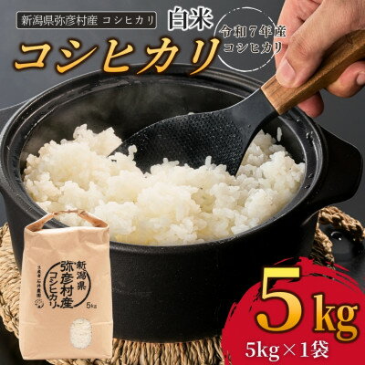 【ふるさと納税】新潟県弥彦村石井農園　令和7年産コシヒカリ【白米 5kg / 10kg】【G1508845】