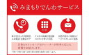 【ふるさと納税】みまもりでんわサービス【固定電話】 （3か月） ／ 見守り お年寄り 故郷 田舎 奈良県 田原本町