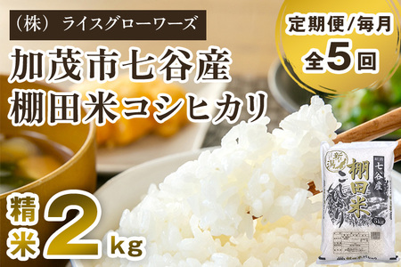 【令和8年産新米先行予約】【定期便5ヶ月毎月お届け】七谷産 棚田米コシヒカリ 精米2kg《10月上旬～順次出荷》 白米 （株）ライスグローワーズ