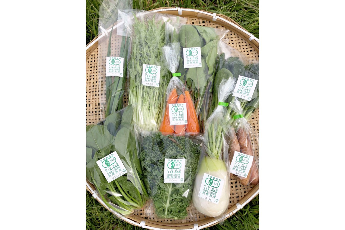 
            朝採り新鮮！有機野菜セット詰合せ（7～9種類）6回コース【定期便】 定期便 採れたて 産地直送 葉物 有機JAS認証 野菜セット 旬の野菜 野菜【139_1909】
          