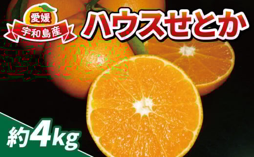 ハウス 蜜柑 せとか 4kg 16~26個 家庭用 南予ファーム ハウス栽培 サイズ 不揃い ハウスみかん ハウス 愛媛みかん 愛媛蜜柑 愛媛ミカン mikan 果物 くだもの フルーツ 高級 ブランド 希少 品種 柑橘 みかん 蜜柑 数量限定 国産 愛媛 宇和島 B020-082004