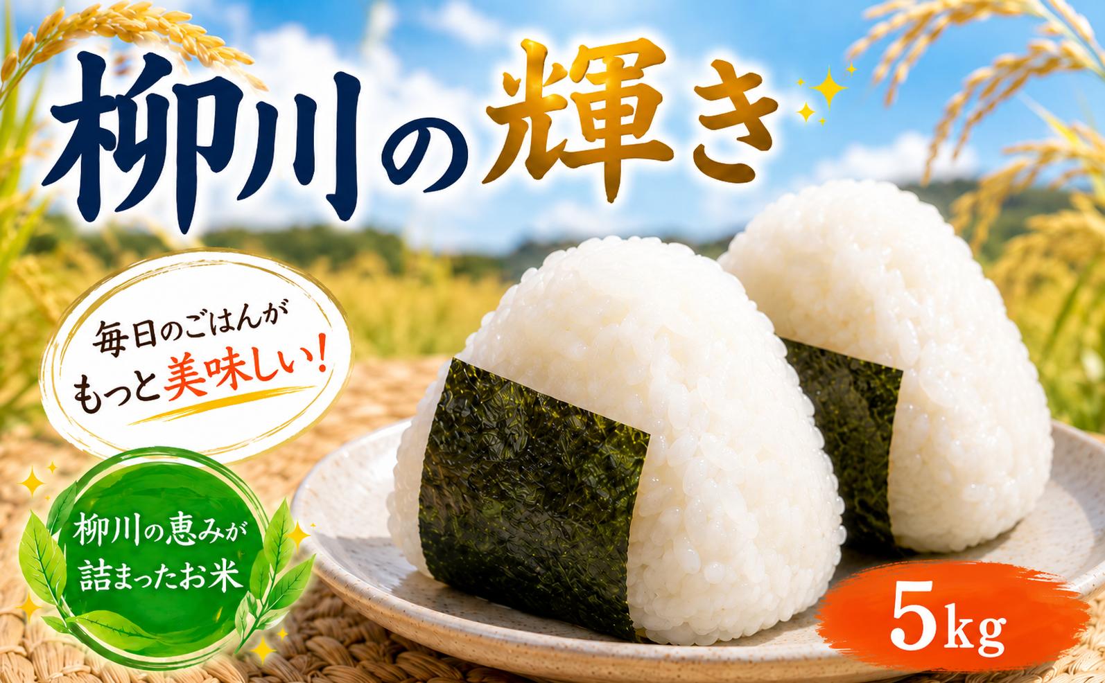 
                  【先行受付】 福岡県産 ブレンド米 5kg 単品 柳川の輝き 令和7年産 令和8年産 福岡産 福岡 ふるさと納税 米 お米 たなか農産 白米 米 お米 こめ コメ ライス ご飯 ごはん 美味しい 贈り物 国産 福岡県 柳川市 お取り寄せ 産地直送 Blend
                