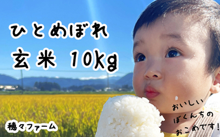 令和7年度産 ひとめぼれ 玄米10kg ／ 岩手県産 国産 雫石町 産 農家 直送 産地 直送 米 こめ コメ ごはん ライス らいす ご飯 穂々ファーム