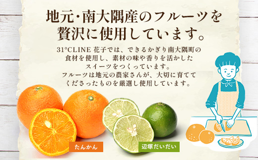 【2026年3月中旬から発送】 だいたんな！恋するショコラ & バウムセット(だいたんなショコラ6個＋≪極≫たんかんバウム）SH-4| たんかん ソース ムース チョコレートムース ショコラ贅沢 スイ